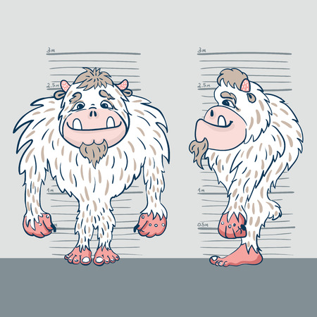 vector illustration of a yeti from two perspectives against the background of the measuring tapeのイラスト素材