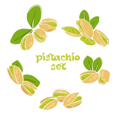 vector set of pistachio nuts in different formsのイラスト素材