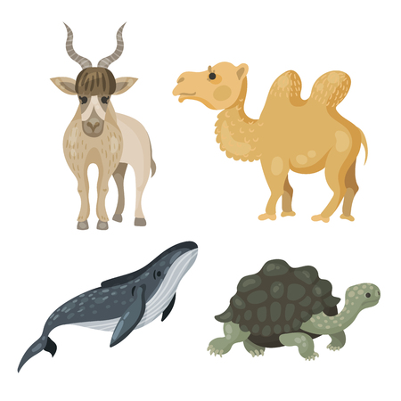 a large collection of endangered animals, giraffe, sloth, Zebra, gorilla, Rhino, Panda, elephant, addax antelope, camel, sea lion, humpback whale, turtleの写真素材