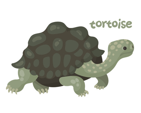 endangered animal print for t-shirts, to your designの写真素材