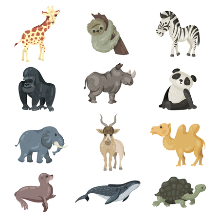 a large collection of endangered animals, giraffe, sloth, Zebra, gorilla, Rhino, Panda, elephant, addax antelope, camel, sea lion, humpback whale, turtleの写真素材