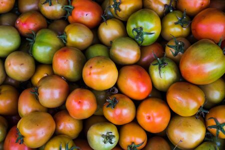 Tomatosの写真素材