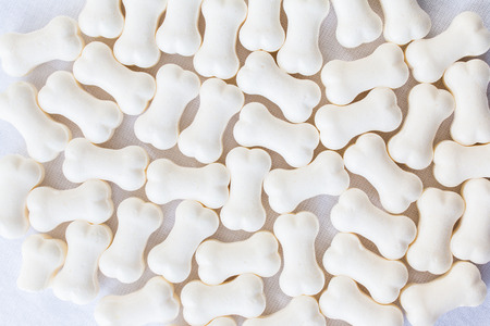 Milk pellet in the shape of a bone on white backgroundの写真素材