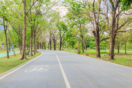 Sign of Bike lane in the park