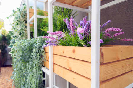 Ornamental plants in a pot on wooden box in steel shelf on a wall.の写真素材