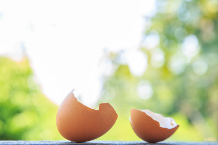 An egg shell on wooden floor with nature background. blank for copy space.