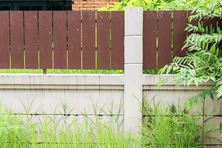 Grass and weed and tree grow fast side wall at rainy season.の写真素材