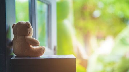 Lonely teddy bear sitting on a book learning a window and looking at outside window with green nature blurred background.の写真素材