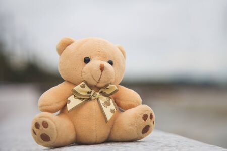 A lonely brown teddy bear is sitting on a white floor with nature and moody sky blurred background in rainy dayの写真素材