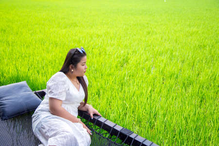 Portrait smiling Asian woman in blue casual wear standing in front of rice fieldの写真素材