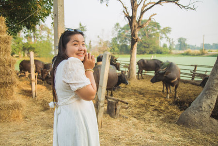A happy Asian woman in white dress is excited and happy while watching herd of buffaloes in the...