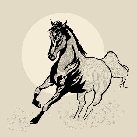 Horse in motion. Hand drawn vector illustration. Hand sketch.のイラスト素材