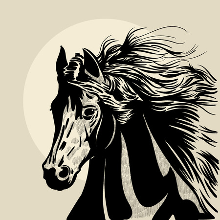 Horse head with a mane. Hand drawn vector illustration. Hand sketch.のイラスト素材