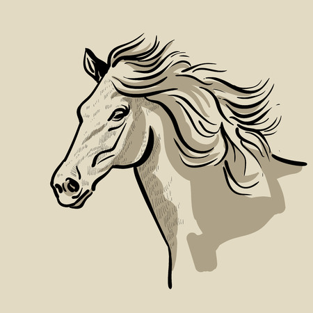 Horse head with a mane. Hand drawn vector illustration.のイラスト素材