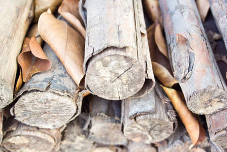 pile of wood の写真素材