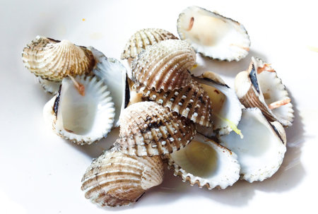 shell cover in seafood restaurant