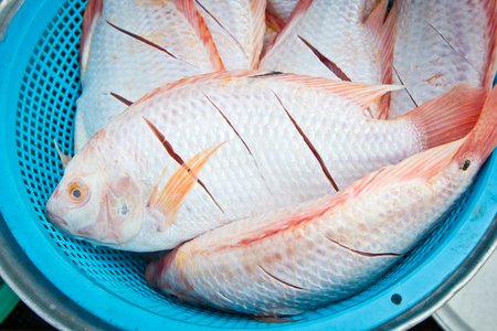 Raw fishes in basket for cookingの写真素材