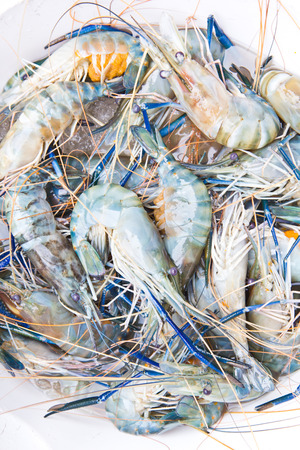 Fresh Shrimp / Prawn on ice at the raw food market, Bangkok Thailandの写真素材