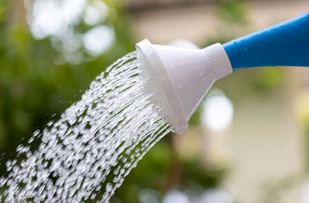Close up of watering can pouring water on nature backgroundの写真素材