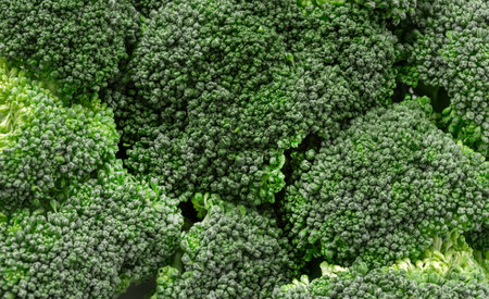 Close up of Fresh broccoli texture for background , Macro of green broccoliの写真素材