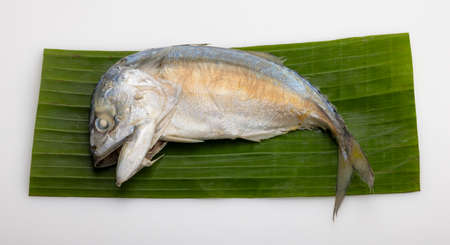 Fresh raw mackerel on banana leaf on white backgroundの写真素材