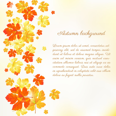 Maple autumn leaves background  のイラスト素材