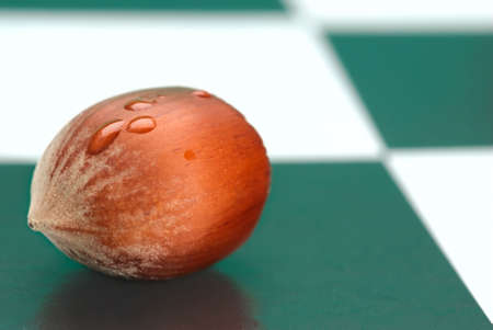 One hazelnut lies on the chessboardの写真素材