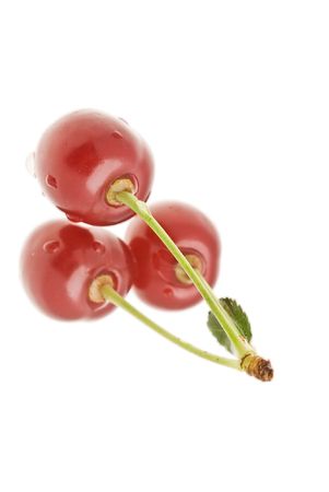 Cherry or three berries and green leafの写真素材
