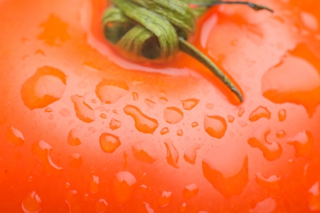 Wet red tomatoes with drops and vegetables for cookingの写真素材