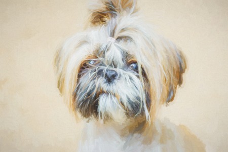 Illustrations pets - wonderful dogs. Artistic drawing style will serve as a wonderful decoration of interior.の写真素材