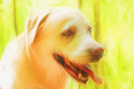 Illustrations pets - wonderful dogs. Artistic drawing style will serve as a wonderful decoration of...