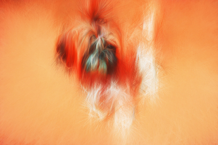 Illustrations pets - wonderful dogs. Artistic drawing style will serve as a wonderful decoration of interior.の写真素材