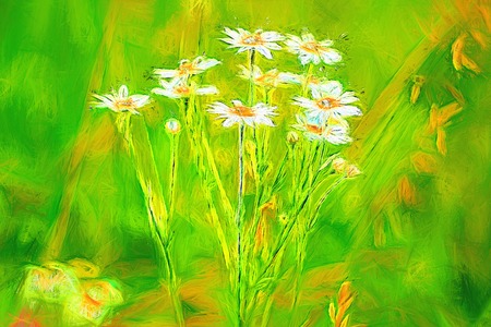 Art style chamomile. Daisy flower on the green meadow. blooming flowers are a wonderful decoration of interior.の写真素材