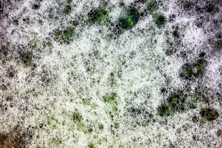 soap bubbles cleaning agent on the surface of the waterの写真素材