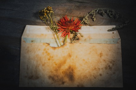 Background art still-life- on the table with the envelope (pressed) is a dry gerbera.の写真素材