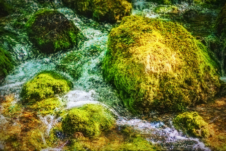 Blurry backgrounds and beautiful bokeh. In a mountain stream rocks covered with moss the ancient moss.の写真素材