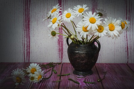 Vintage vase metal- still life daisies. Art style chamomile- blooming flowers wonderful decoration of interior.の写真素材