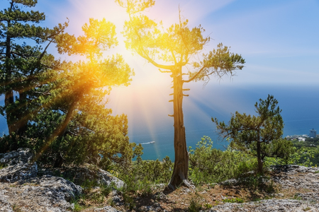 Beautiful mountain landscape background - a journey through the hiking trailsの写真素材