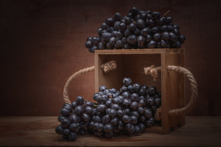 Natural still life with grapes in vintage tin vase. Interior decoration - photo print large format.の写真素材