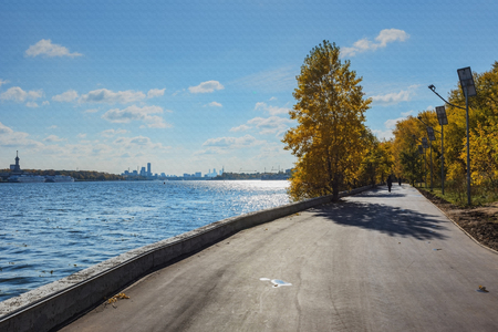 Walk in autumn park. Nature background- yellow leaves of trees and shrubsの写真素材