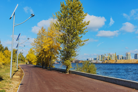 Walk in autumn park. Nature background- yellow leaves of trees and shrubsの写真素材