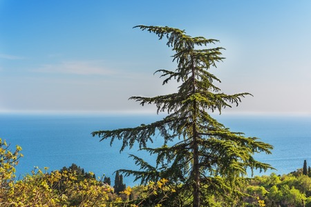 Southern coast of Crimea- National mountain landscape park. Extreme hiking- the healthy way of life.の写真素材