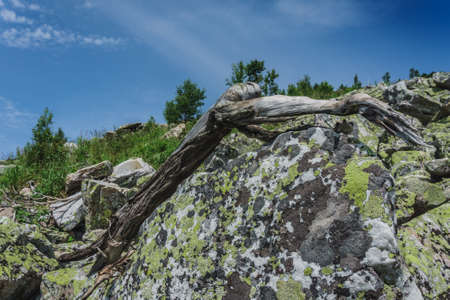 Natural landscape- mountain rocks, slopes of the Southern Urals. Alpine meadows in the national Park Taganay, Chelyabinsk.の写真素材
