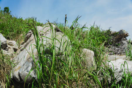 Mountain landscape- range, rocks, slopes of the Southern Ural. Alpine meadows in the national Park Taganay, Chelyabinsk.の写真素材