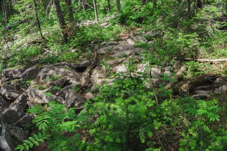 Mountain trail- range, rocks, slopes of the Southern Ural. Alpine meadows in the national Park Taganay, Chelyabinsk.の写真素材