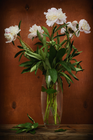 Still life- peony sprig of flowers in transparent glass jarの写真素材