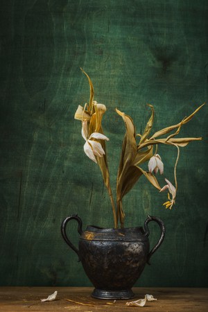 Still life: dry tulips in metal vase. Dried flowers- abstract background of wood.の写真素材