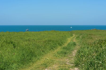 Summer landscape- background sea coast, green grass. Lovely place walk- seawalker.の写真素材