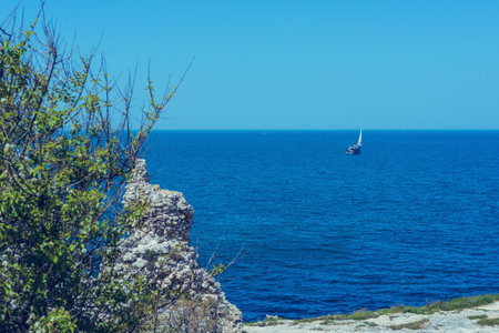 Summer landscape- background sea coast, green grass. Lovely place walk- seawalker.