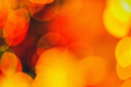 Nature pattern- light bokeh background. Celebratory mood magic effect. Decorations holiday- design beautiful.の写真素材